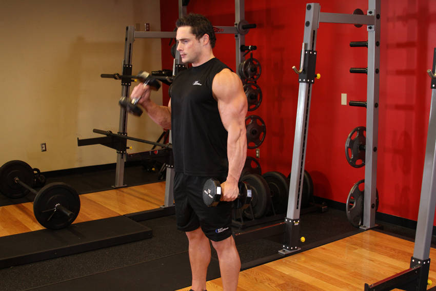 Alternate Hammer Curl - Başlangıç Pozisyonu