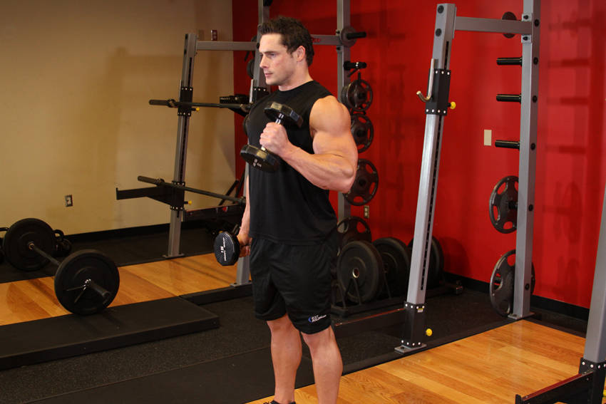 Alternate Hammer Curl - Bitiş Pozisyonu