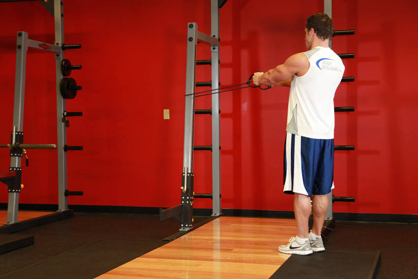 Back Flyes - With Bands - Başlangıç Pozisyonu