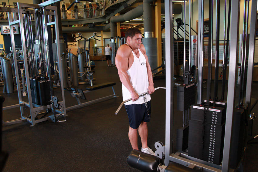 Cable Shrugs - Bitiş Pozisyonu