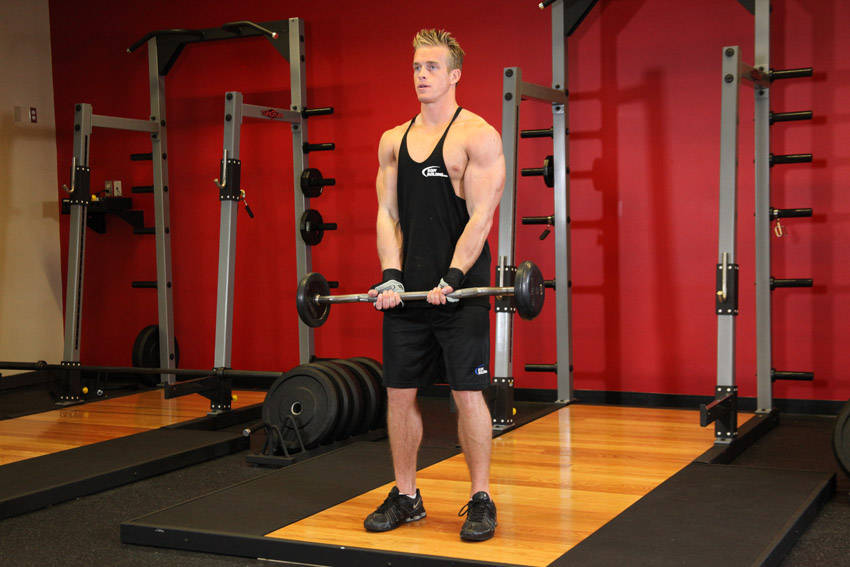 Close-Grip EZ Bar Curl - Başlangıç Pozisyonu