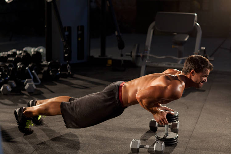 Close-Grip Push-Up off of a Dumbbell - Bitiş Pozisyonu