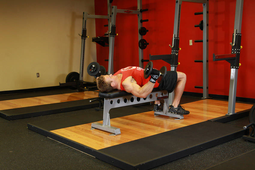 Dumbbell Flyes - Bitiş Pozisyonu