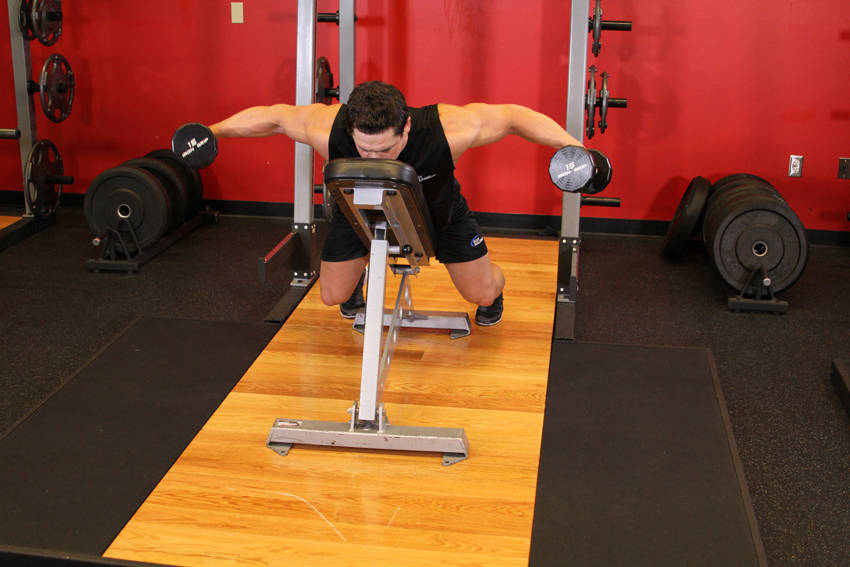 Dumbbell Lying Rear Lateral Raise - Bitiş Pozisyonu