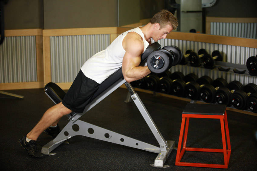 Dumbbell Prone Incline Curl - Başlangıç Pozisyonu