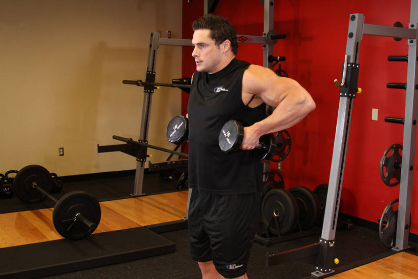 Dumbbell Raise - Bitiş Pozisyonu