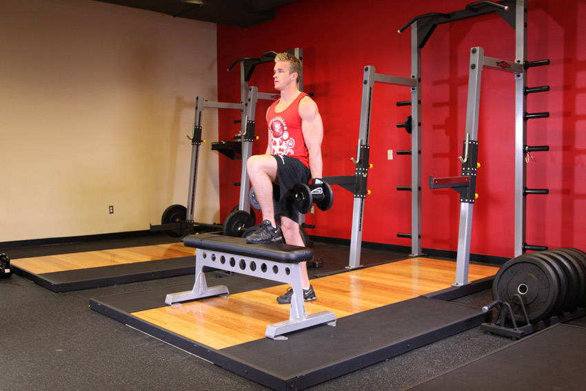 Dumbbell Step Ups - Bitiş Pozisyonu