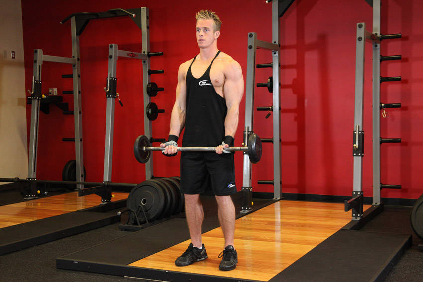 EZ-Bar Curl - Başlangıç Pozisyonu