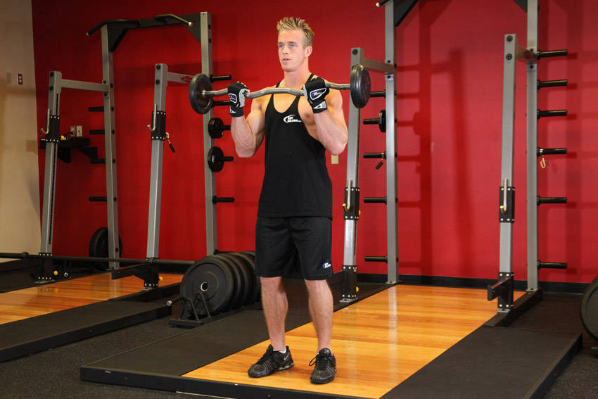 EZ-Bar Curl - Bitiş Pozisyonu