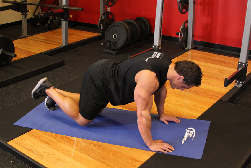 Glute Kickback - Başlangıç Pozisyonu