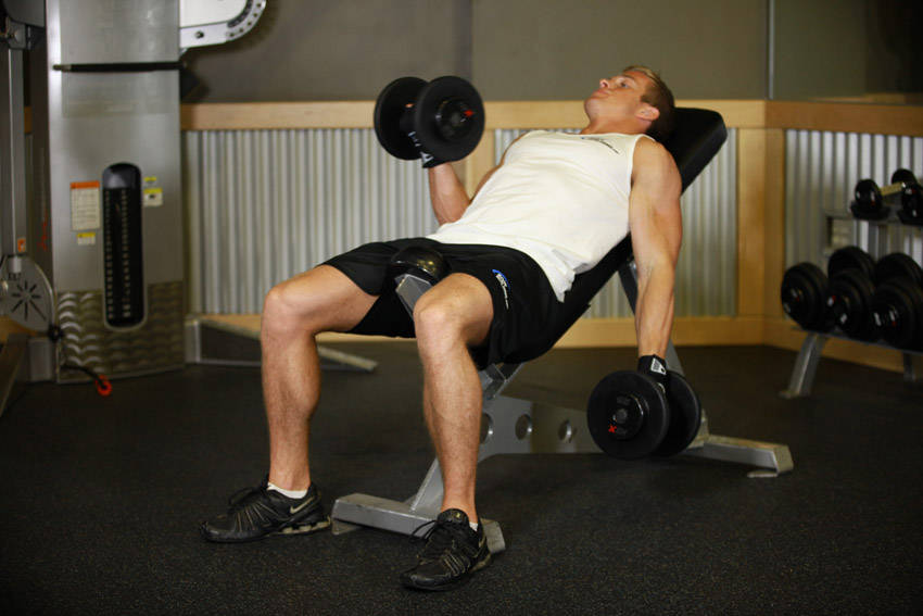 Incline Dumbbell Curl - Başlangıç Pozisyonu