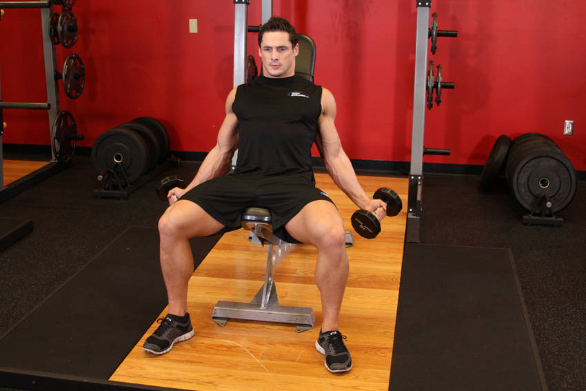 Incline Inner Biceps Curl - Başlangıç Pozisyonu