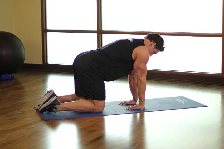 Kneeling Forearm Stretch - Başlangıç Pozisyonu