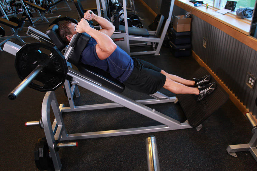 Narrow Stance Hack Squats - Bitiş Pozisyonu