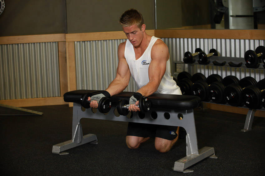 Palms-Up Dumbbell Wrist Curl Over A Bench - Başlangıç Pozisyonu