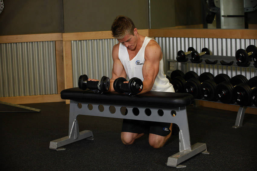Palms-Up Dumbbell Wrist Curl Over A Bench - Bitiş Pozisyonu