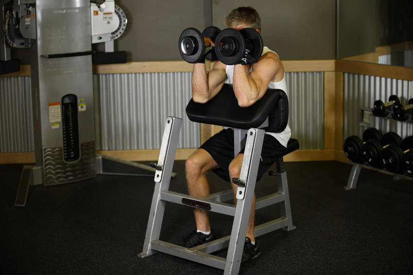 Preacher Hammer Dumbbell Curl - Bitiş Pozisyonu