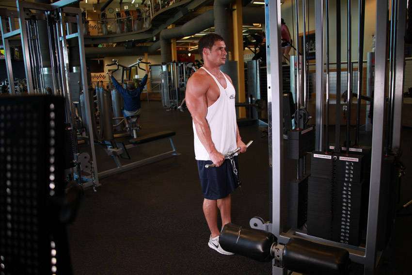 Reverse Cable Curl - Bitiş Pozisyonu