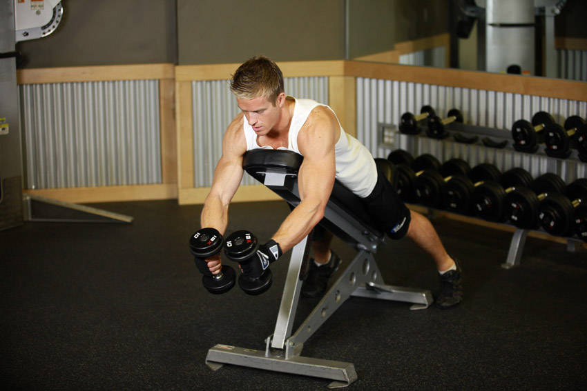 Reverse Flyes - Başlangıç Pozisyonu