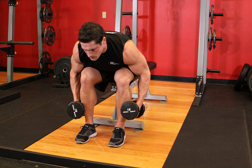 Seated Bent-Over Rear Delt Raise - Başlangıç Pozisyonu