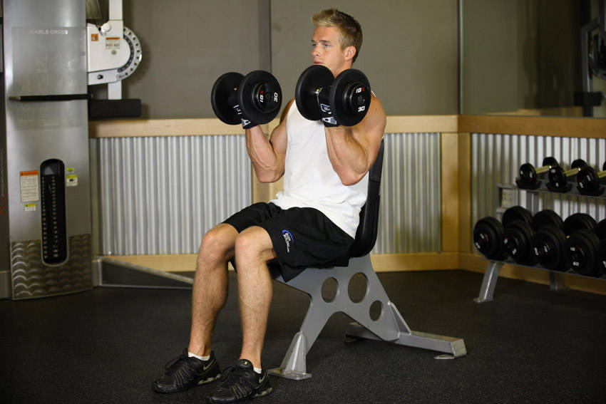 Seated Dumbbell Curl - Bitiş Pozisyonu