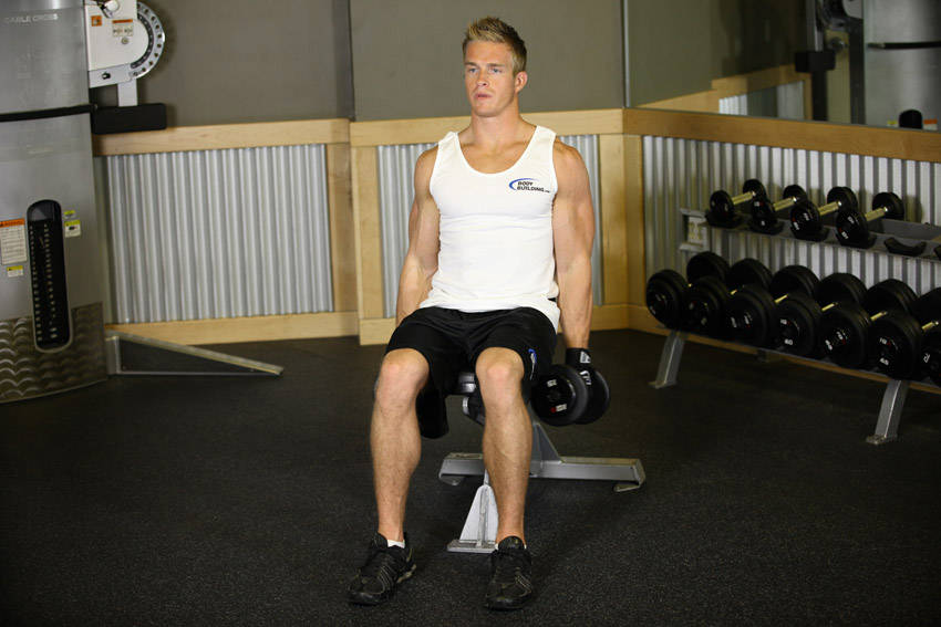 Seated Dumbbell Inner Biceps Curl - Başlangıç Pozisyonu