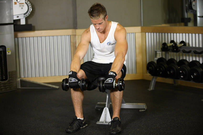 Seated Dumbbell Palms-Down Wrist Curl - Başlangıç Pozisyonu