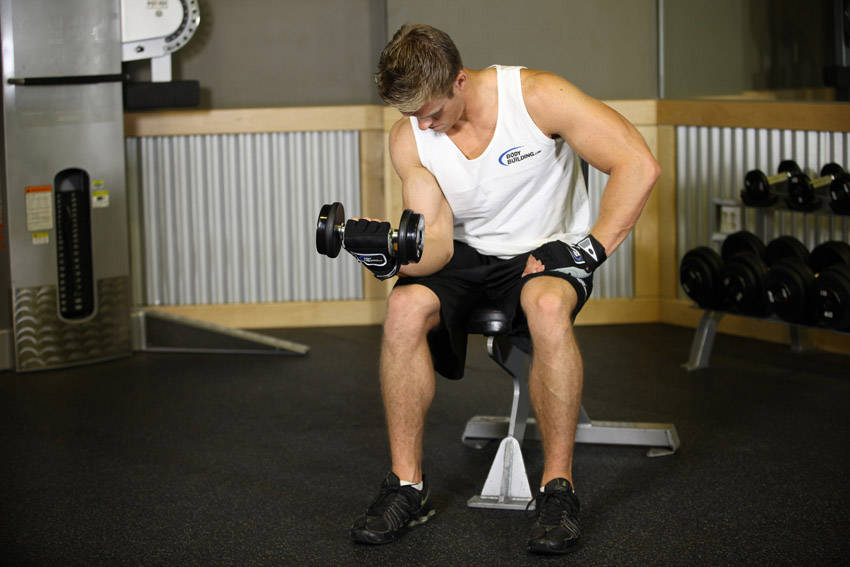 Seated One-Arm Dumbbell Palms-Up Wrist Curl - Bitiş Pozisyonu