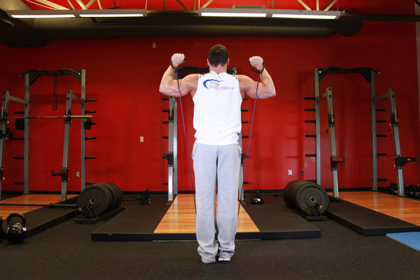 Shoulder Press - With Bands - Başlangıç Pozisyonu