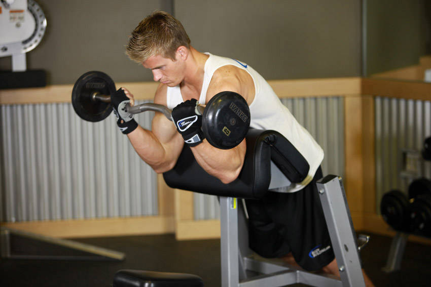 Spider Curl - Bitiş Pozisyonu