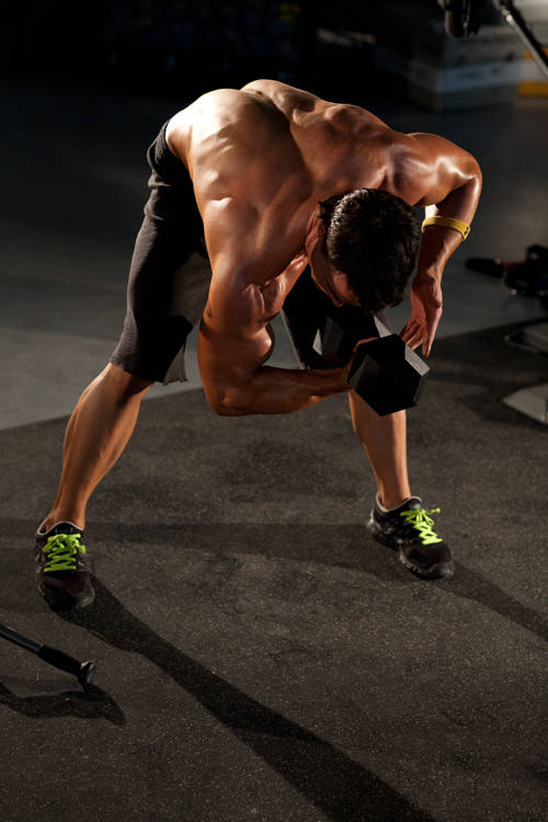 Standing Concentration Curl - Bitiş Pozisyonu