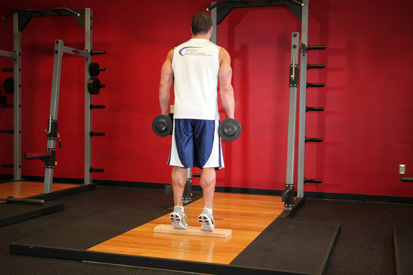 Standing Dumbbell Calf Raise - Bitiş Pozisyonu