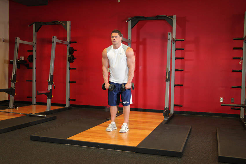 Standing Dumbbell Straight-Arm Front Delt Raise Above Head - Başlangıç Pozisyonu