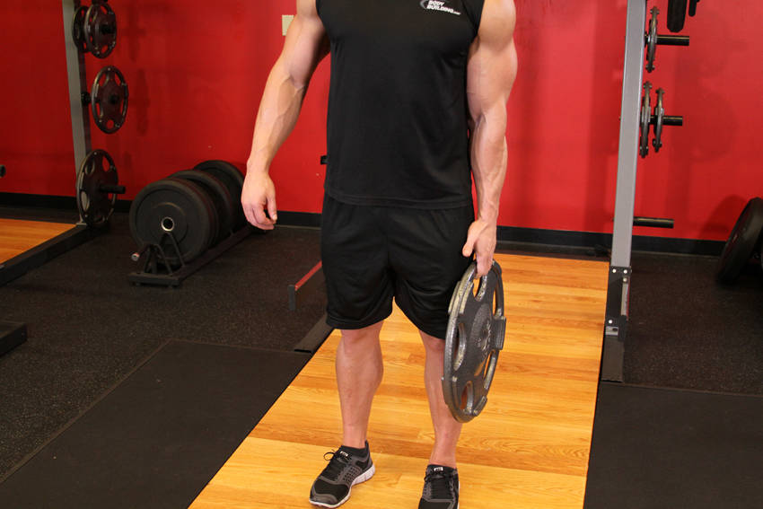 Standing Olympic Plate Hand Squeeze - Başlangıç Pozisyonu