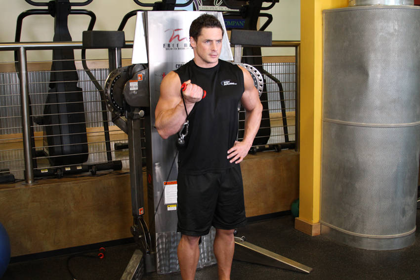 Standing One-Arm Cable Curl - Bitiş Pozisyonu