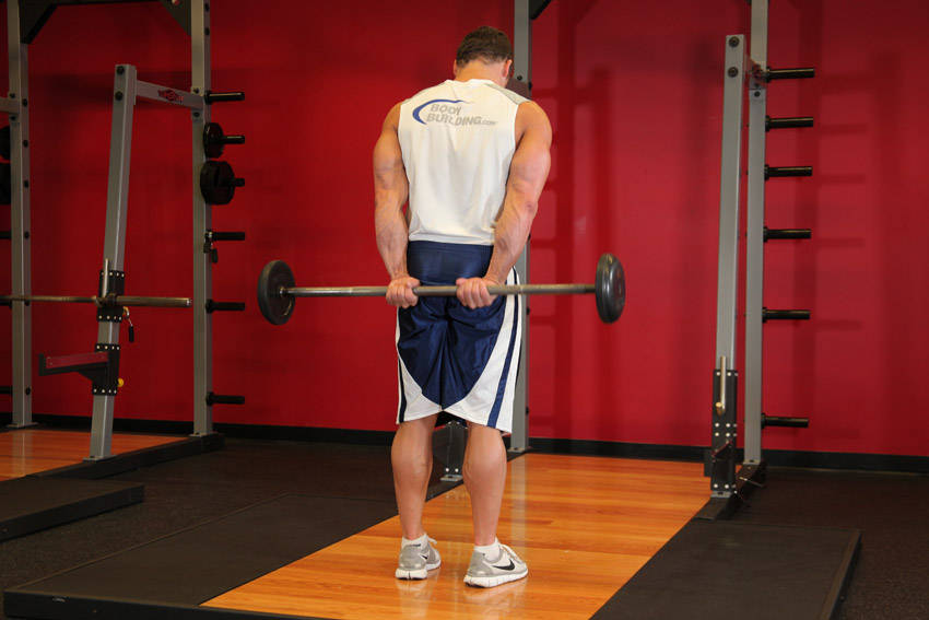 Standing Palms-Up Barbell Behind The Back Wrist Curl - Başlangıç Pozisyonu