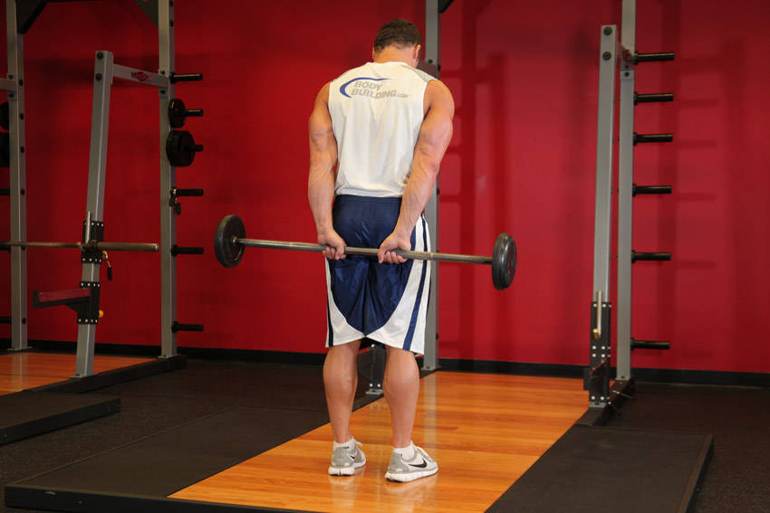 Standing Palms-Up Barbell Behind The Back Wrist Curl - Bitiş Pozisyonu