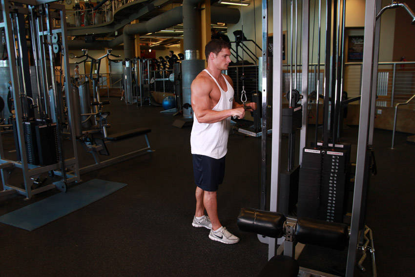 Triceps Pushdown - Başlangıç Pozisyonu