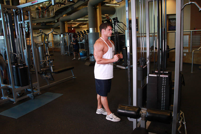 Triceps Pushdown - Rope Attachment - Başlangıç Pozisyonu