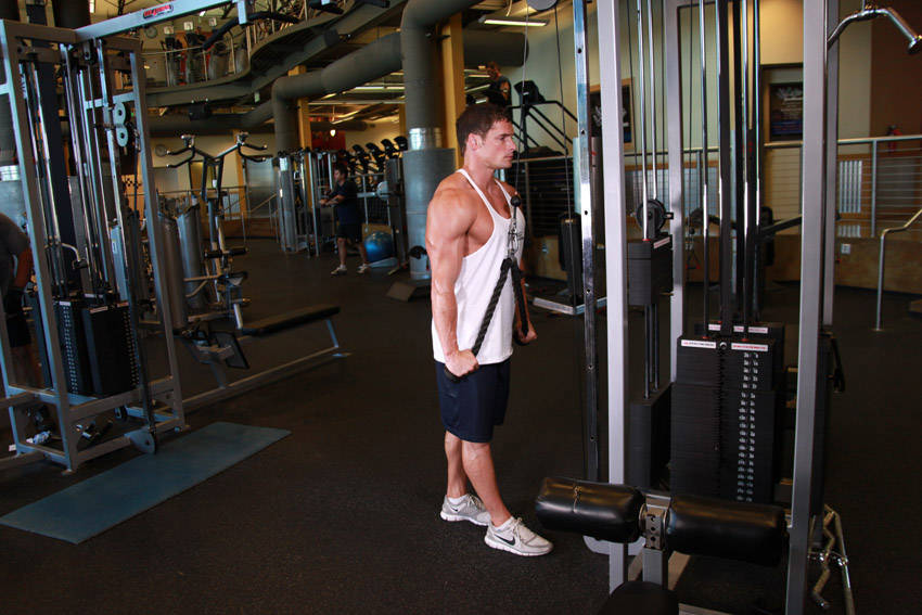 Triceps Pushdown - Rope Attachment - Bitiş Pozisyonu