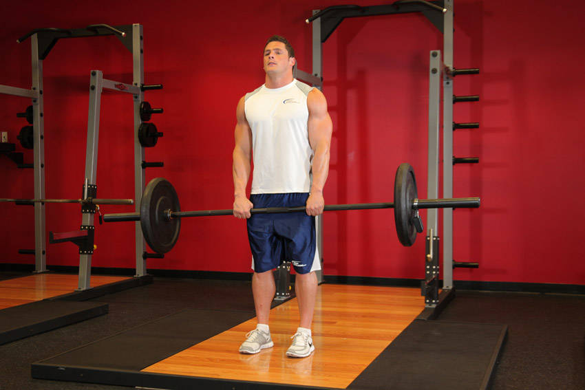 Upright Barbell Row - Bitiş Pozisyonu