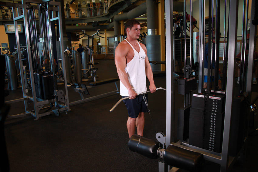 Upright Cable Row - Bitiş Pozisyonu