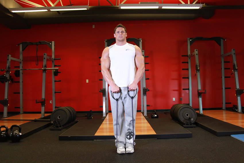 Upright Row - With Bands - Başlangıç Pozisyonu